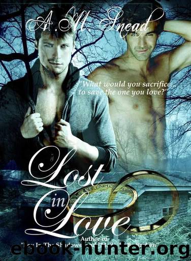 Lost In Love (Complete Trilogy) by A.M. Snead