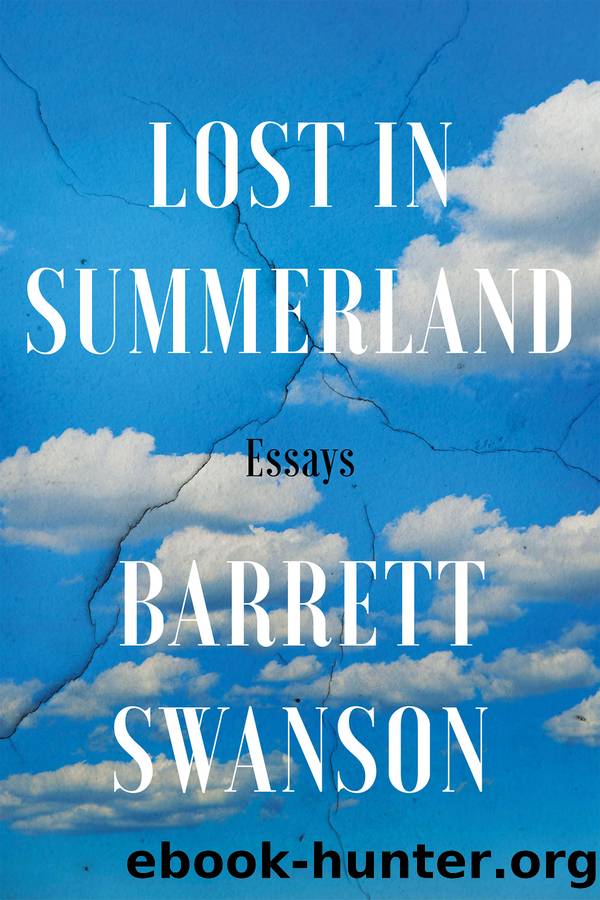 Lost In Summerland by Barrett Swanson