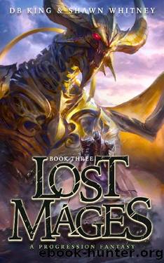 Lost Mages 3: A Progression Fantasy by DB King & Shawn Whitney