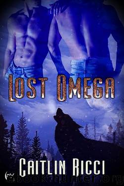 Lost Omega by Caitlin Ricci