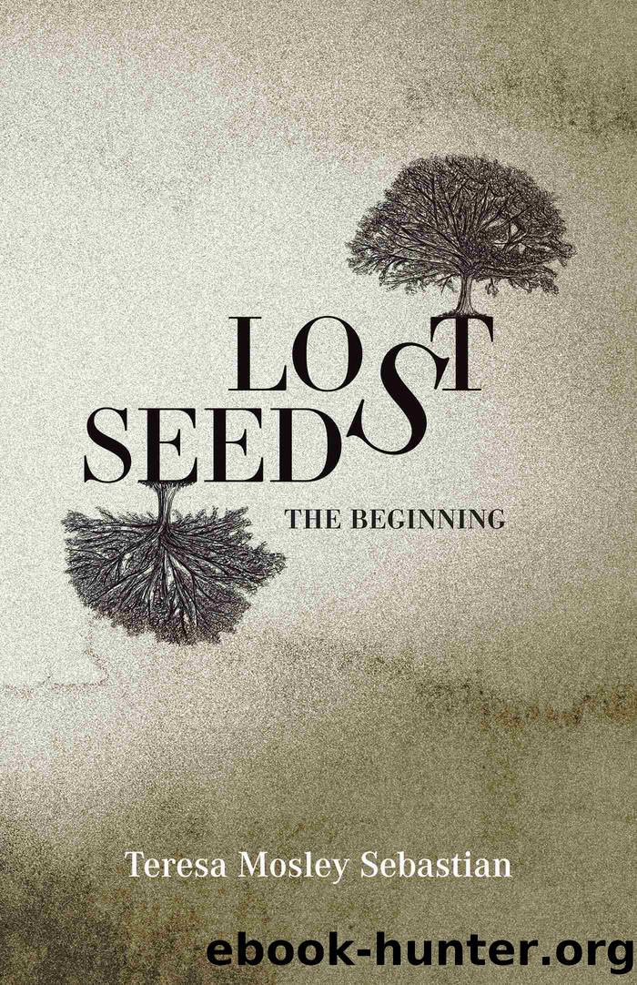 Lost Seeds by Teresa Mosley Sebastian