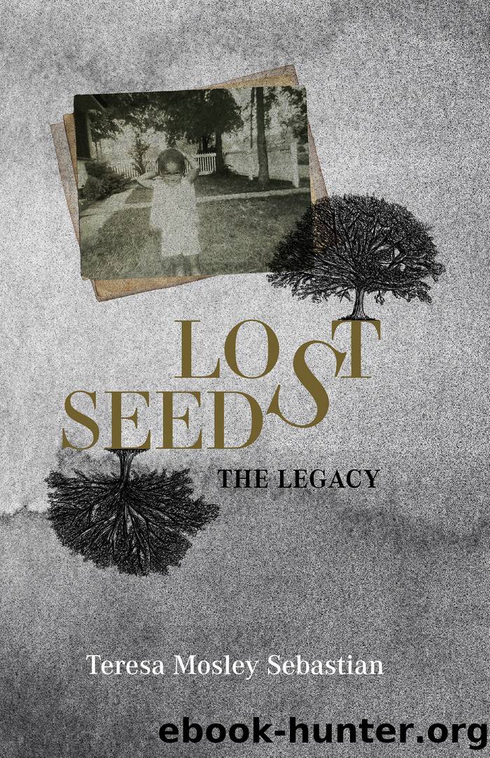 Lost Seeds by Teresa Sebastian