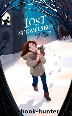 Lost Snowflakes by Linton Darling