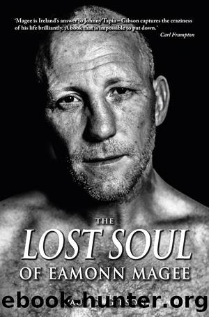 Lost Soul of Eamonn Magee by Paul Gibson & Eamonn Magee