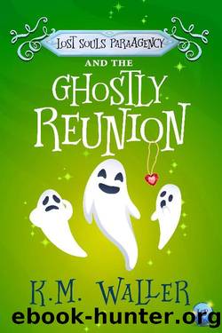Lost Souls ParaAgency and the Ghostly Reunion by K. M. Waller