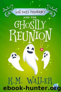 Lost Souls ParaAgency and the Ghostly Reunion by K.M. Waller