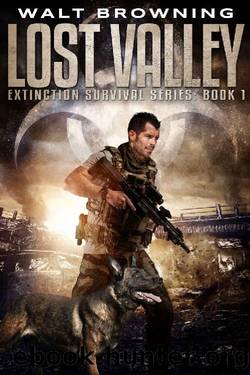 Lost Valley by Walt Browning