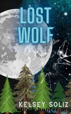 Lost Wolf: part one of a second chance, rejected mates, secret baby romance by Kelsey Soliz
