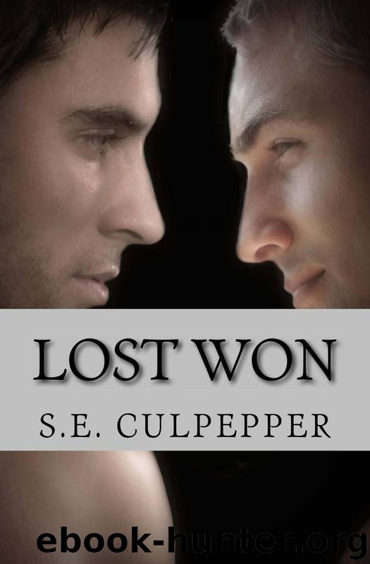 Lost Won (Liaisons Series) by Culpepper S. E