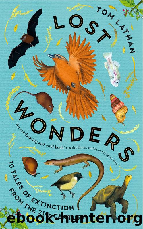 Lost Wonders by Tom Lathan