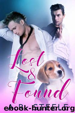 Lost and Found (Foster Puppies Book 3) by A.R. Steele