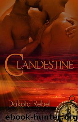 Lost and Found 03 - Clandestine by Dakota Rebel