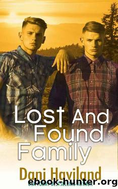 Lost and Found Family by Dani Haviland
