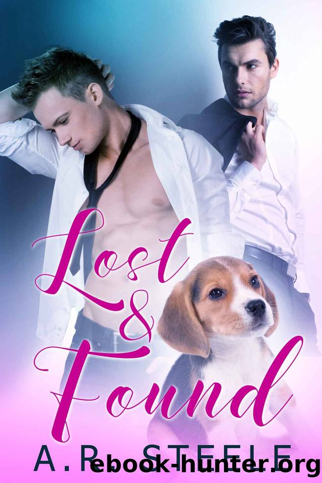 Lost and Found by A. R. Steele