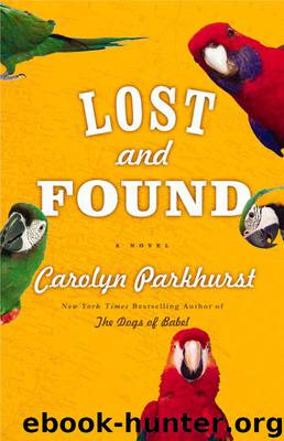Lost and Found by Carolyn Parkhurst