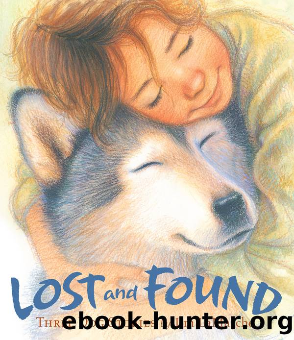 Lost and Found by Jim LaMarche