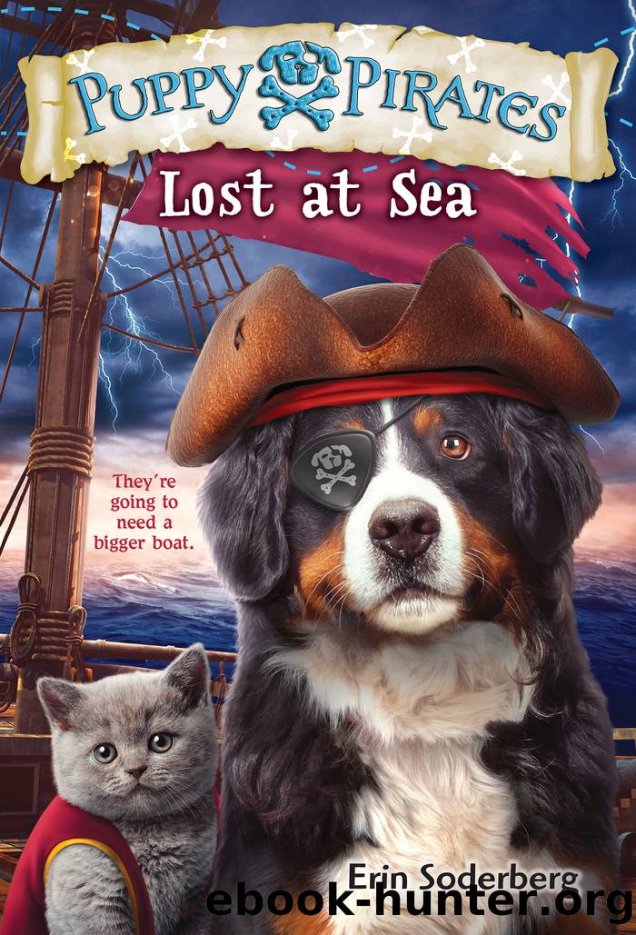 Lost at Sea by Erin Soderberg