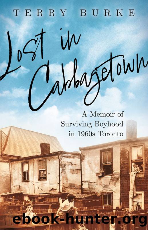 Lost in Cabbagetown by Terry Burke