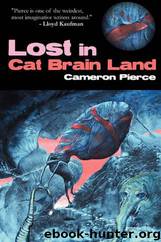 Lost in Cat Brain Land by Cameron Pierce