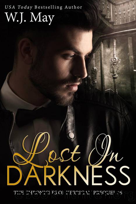 Lost in Darkness (The Chronicles of Kerrigan Prequel, #6) by W.J. May