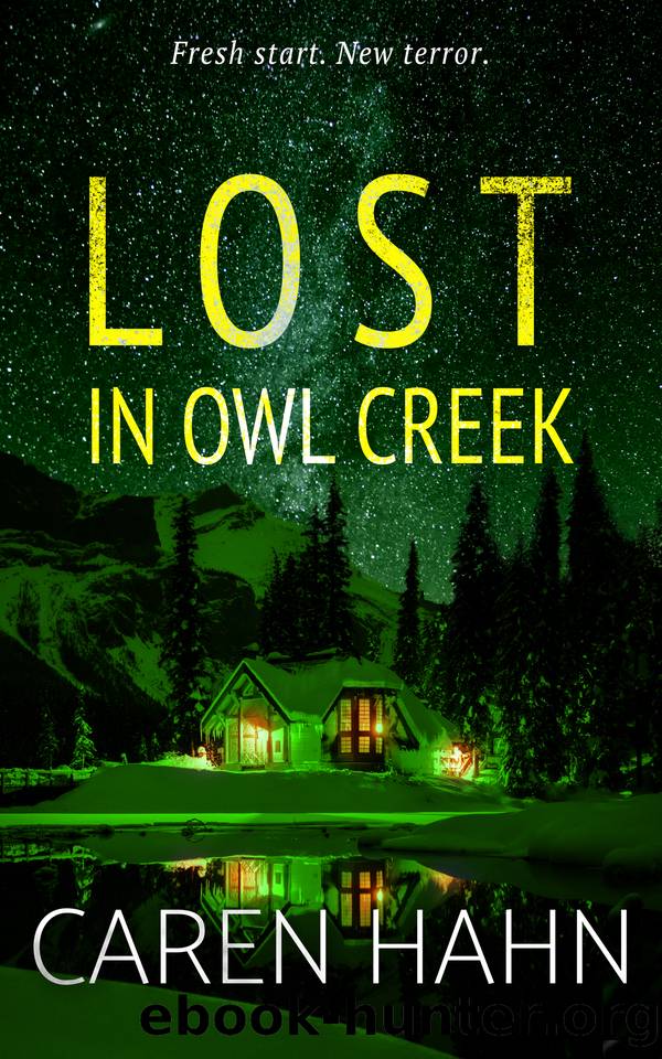 Lost in Owl Creek (Owl Creek Series Book 3) by Caren Hahn