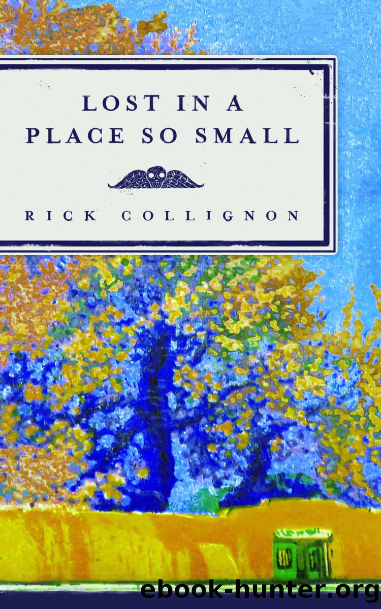 Lost in a Place So Small by Rick Collignon