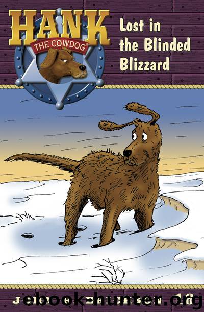 Lost in the Blinded Blizzard by John R. Erickson