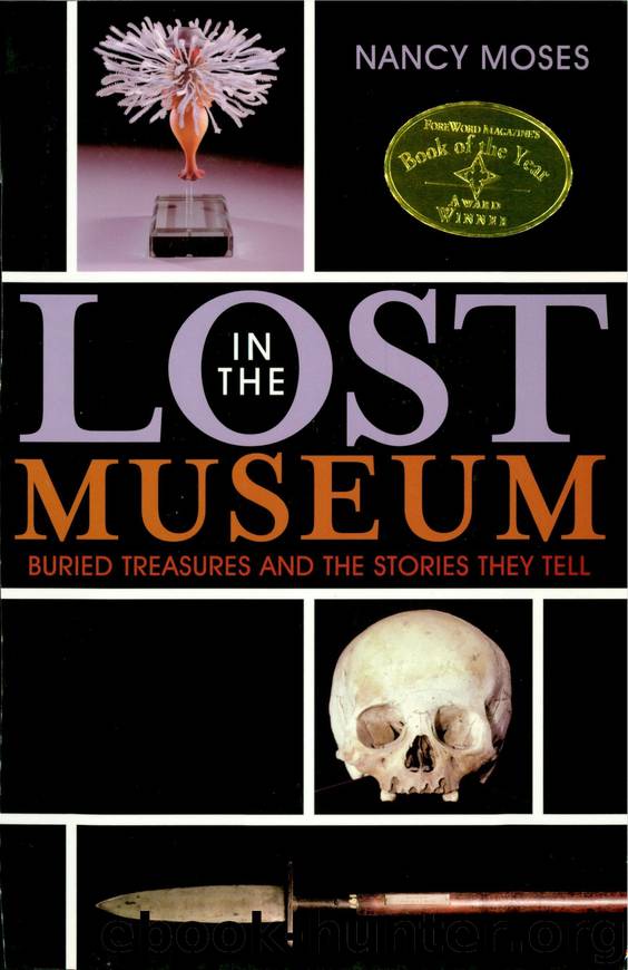 Lost in the Museum by Moses Nancy