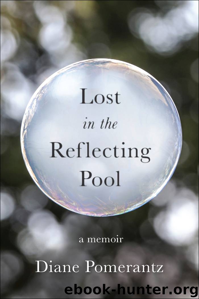 Lost in the Reflecting Pool by Diane Pomerantz