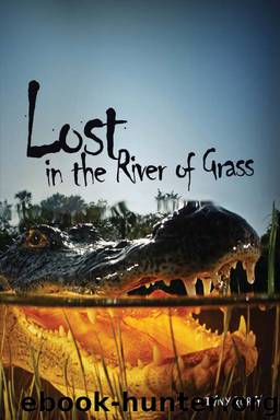 Lost in the River of Grass by Ginny Rorby