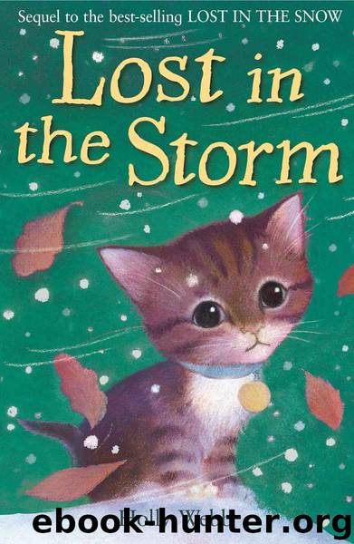 Lost in the Storm by Holly Webb