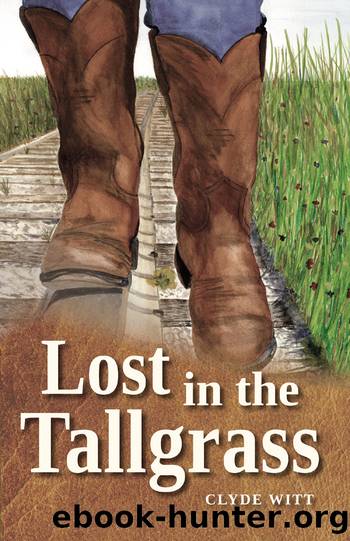 Lost in the Tallgrass by Clyde Witt