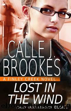Lost in the Wind (Finley Creek Book 9) by Calle J. Brookes