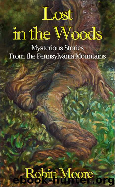 Lost in the Woods: Mysterious Stories from the Pennsylvania Mountains (The Family That Reads Together Series) by Moore Robin