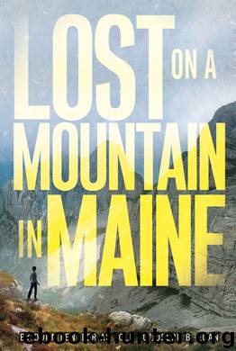 Lost on a Mountain in Maine by Donn Fendler