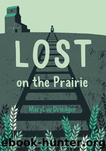 Lost on the Prairie by MaryLou Driedger