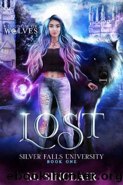 Lost: Silver Falls University by M. Sinclair