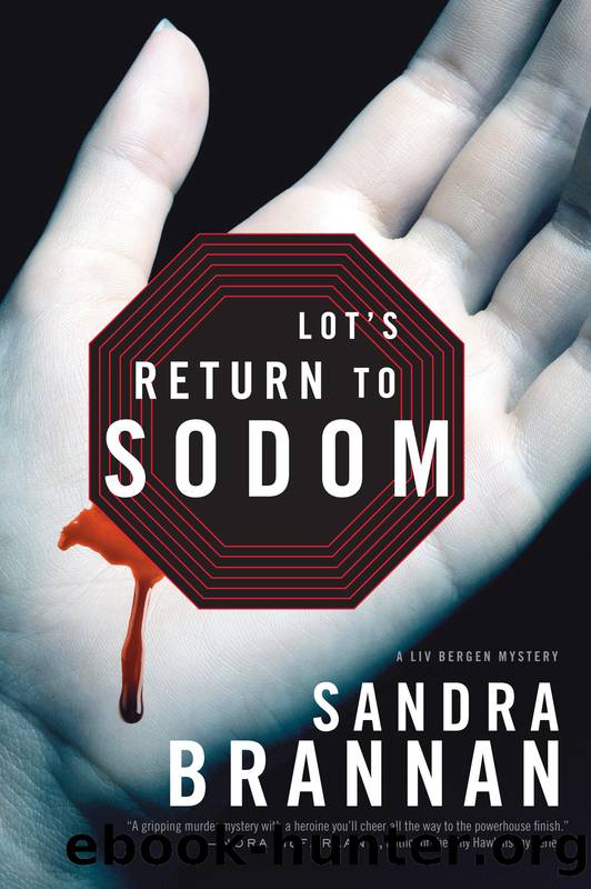 Lotâs return to Sodom by Sandra Brannan