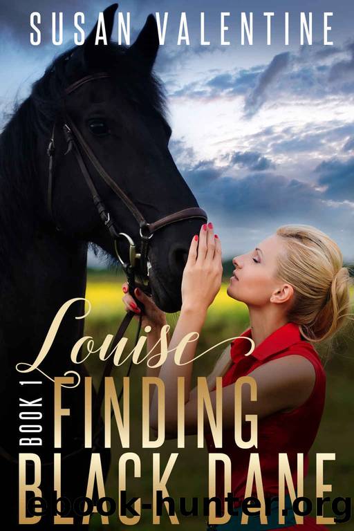 Louise - Finding Black Dane Book 1 by Susan Valentine