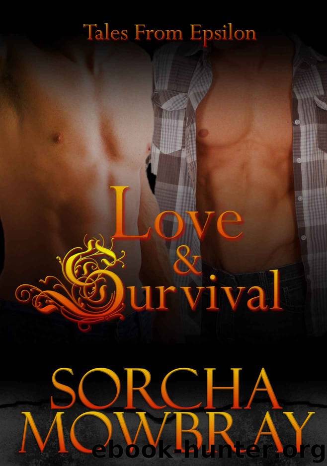 Love & Survival by Sorcha Mowbray