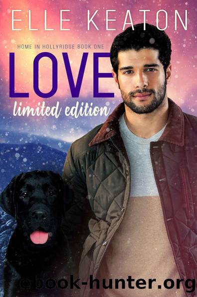 Love - Limited Edition: Sweet with heat gay romance (Home in Hollyridge Book 1) by Elle Keaton