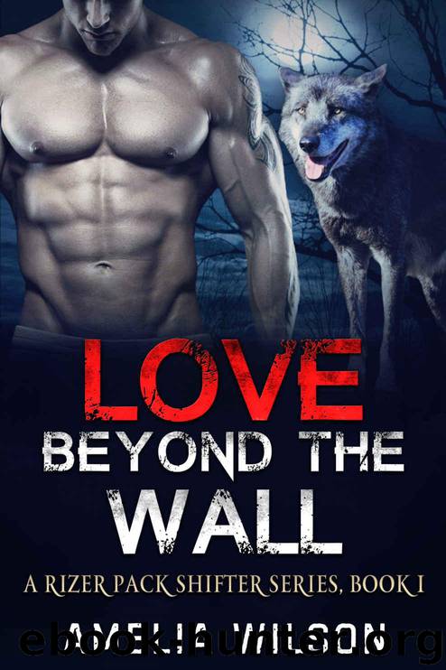 Love Beyond the wall (A Rizer Pack Shifter Series Book 1) by Wilson Amelia