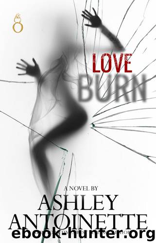 Love Burn (e-book short series) by Ashley Antoinette