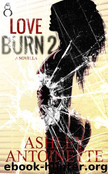 Love Burn 2 by Ashley Antoinette