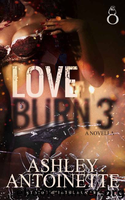 Love Burn 3 by Ashley Antoinette