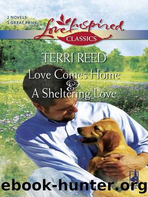 Love Comes Home and A Sheltering Love by Terri Reed