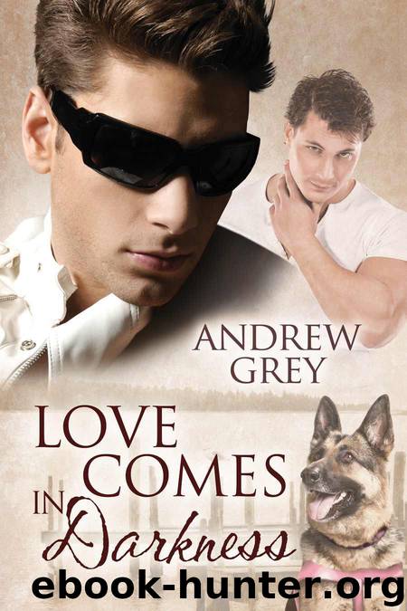 Love Comes in Darkness (Senses Series) by Grey Andrew