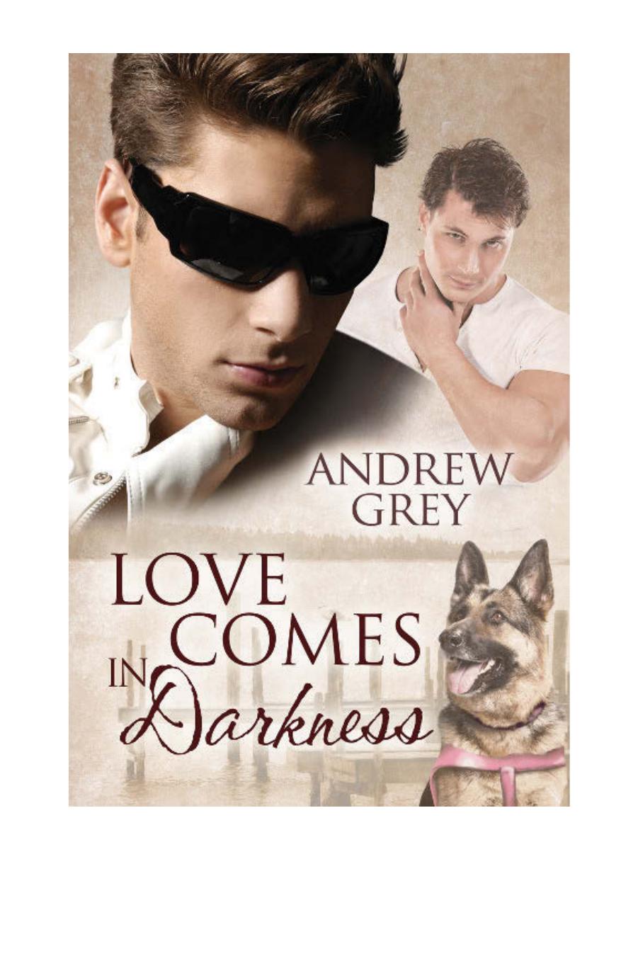 Love Comes in Darkness by Andrew Grey