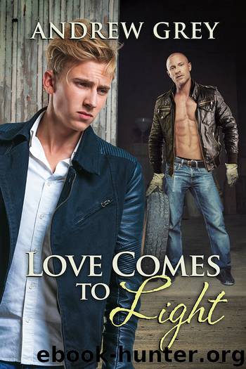 Love Comes to Light by Andrew Grey