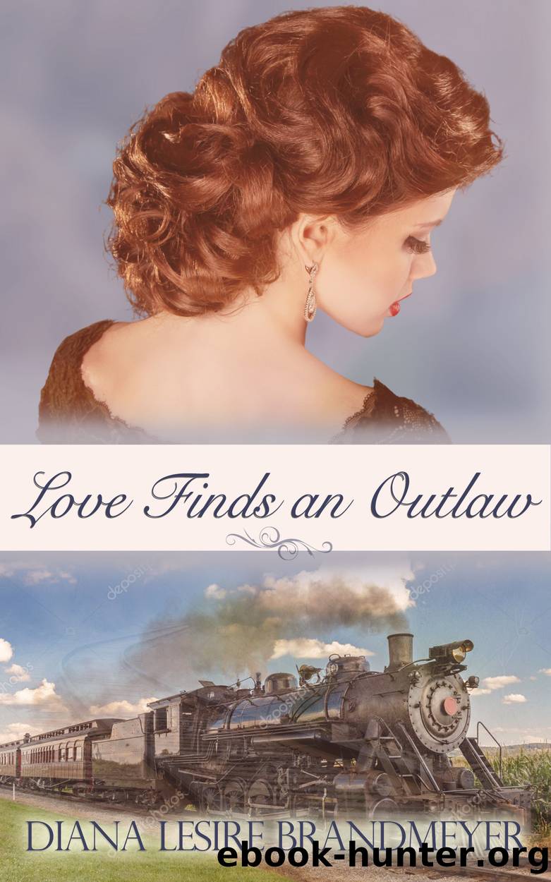 Love Finds an Outlaw by Diana Lesire Brandmeyer